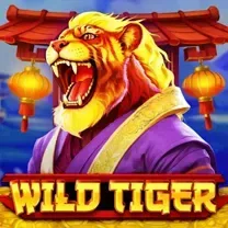 8181WIN